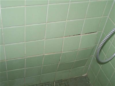 shower caulk and tile resized 600